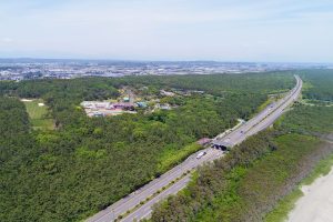 DJI_0021